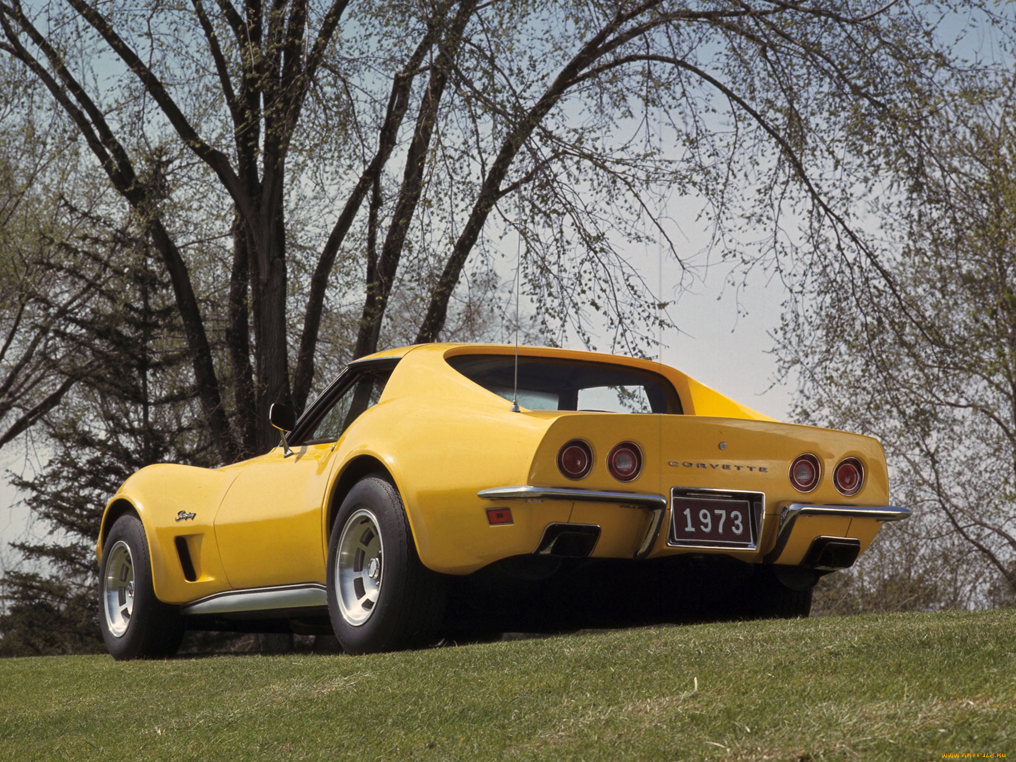 , corvette